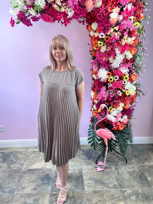 Mocha pleat Dress